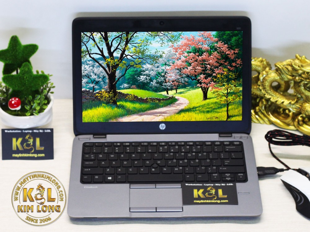 Laptop HP EliteBook 820 G1 i5 4200u/4GB/SSD128GB